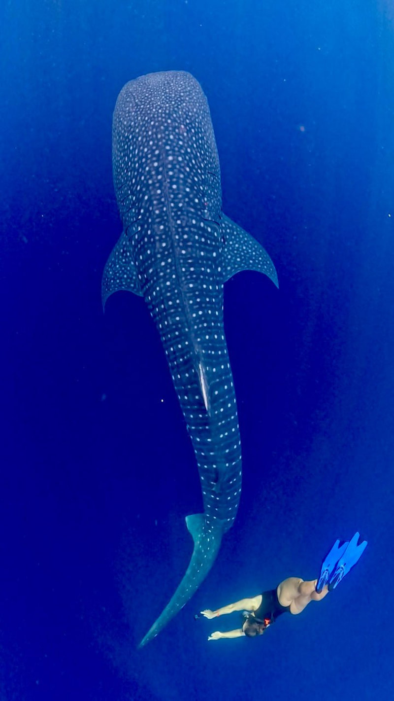 Мототур Индонезия Бали Ява Ломбок Сумбава