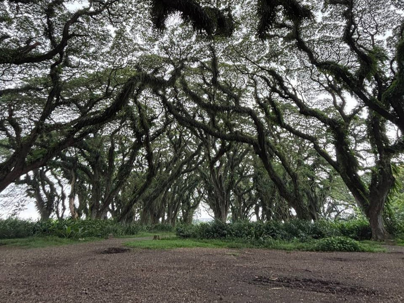 Мототур Индонезия Бали Ява Ломбок Сумбава