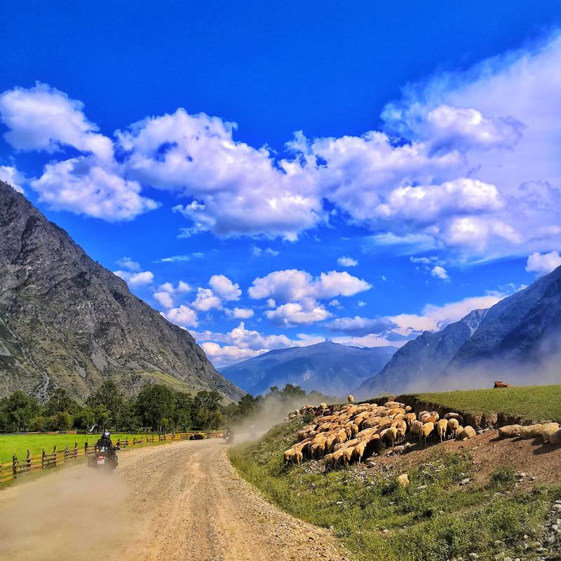 Best of Siberia, Altai Mountains Tour Rusmototravel, RMT, Ride Russia, Explore Russia, BMW R1250GS, F850GS